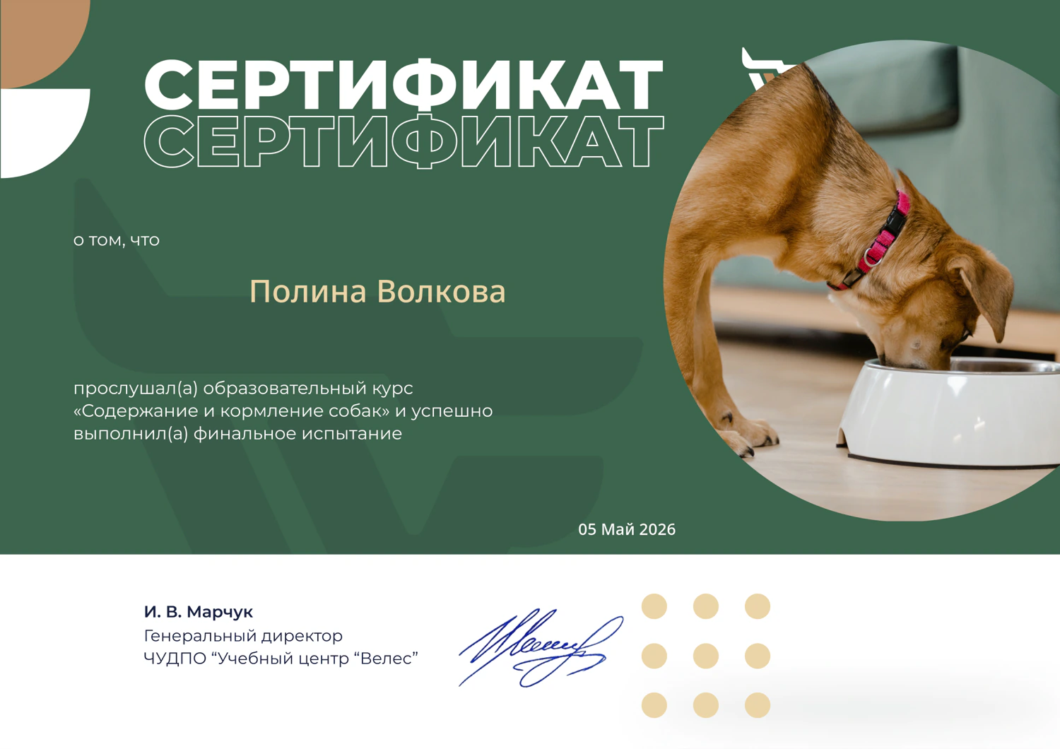 Сертификат — курс «Содержание и кормление собак»