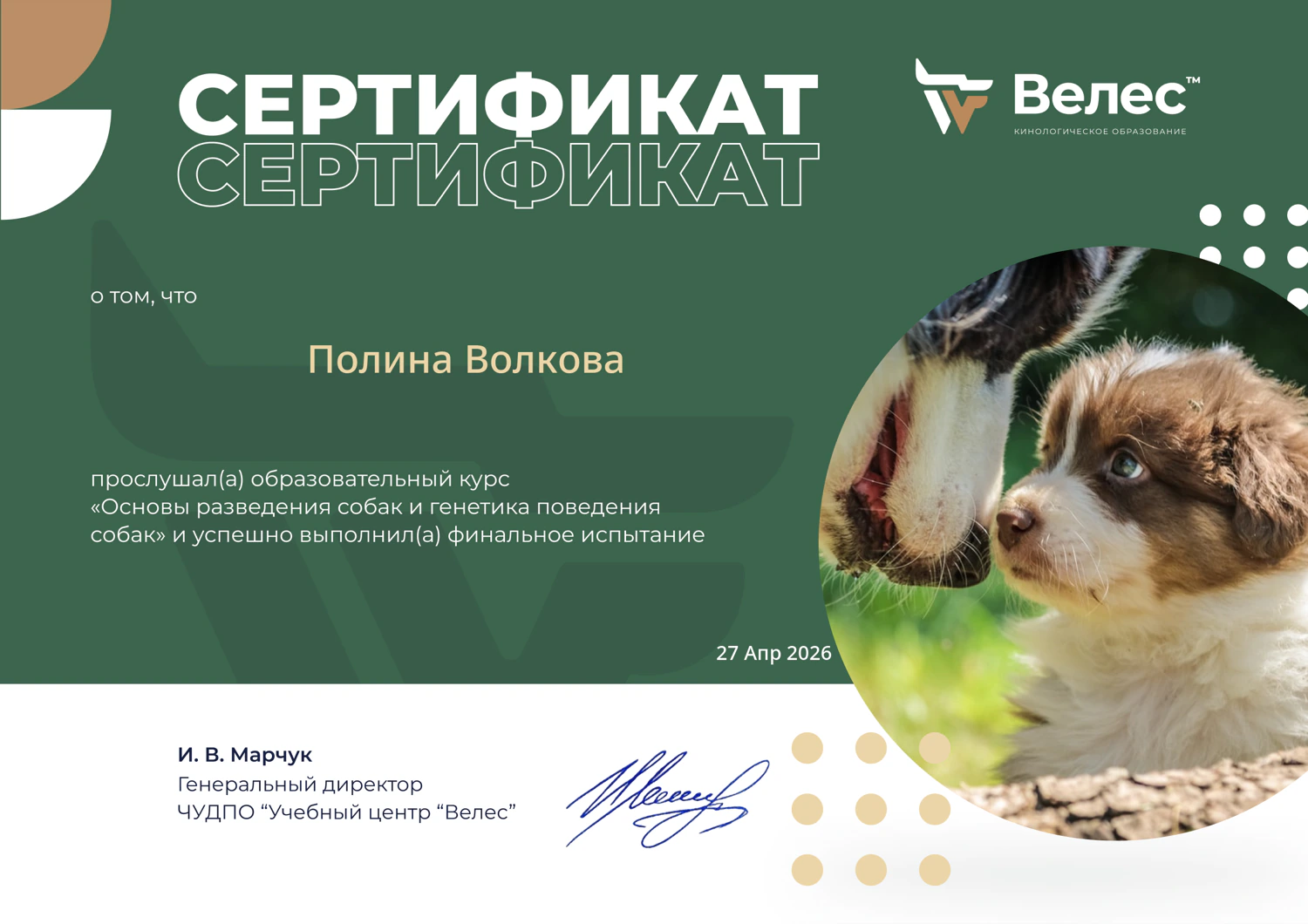 Сертификат — курс «Основы разведения собак и генетика поведения»