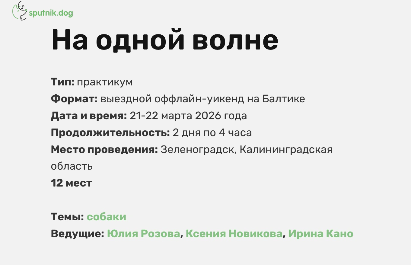 Практикум «На одной волне» — sputnik.dog